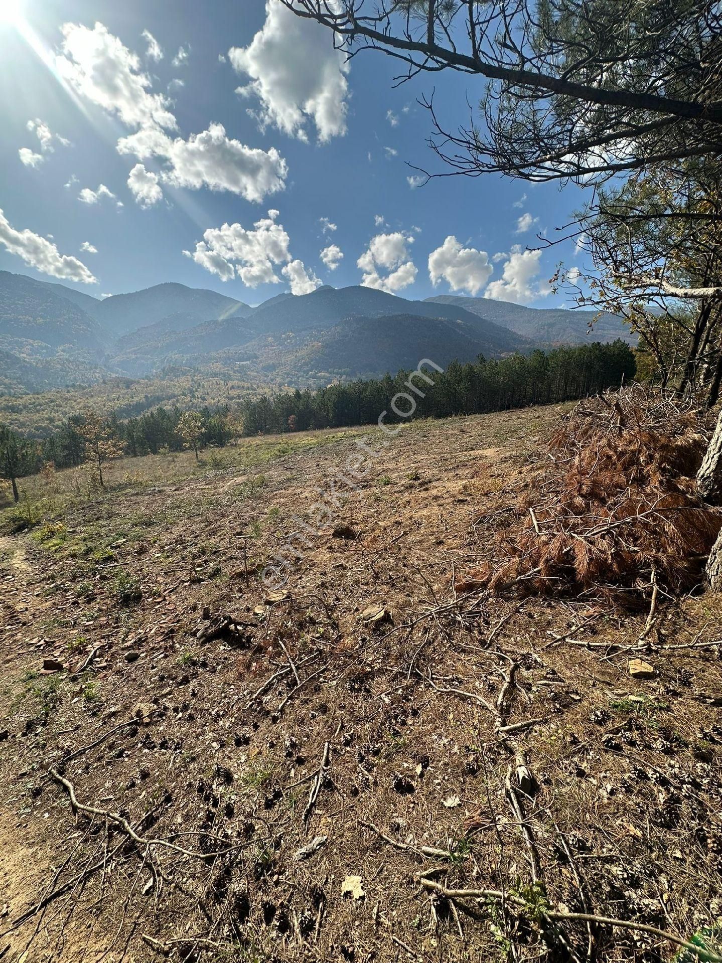 Kestel Orhaniye'de Güzel Konumda Satılık Tarla... - Görsel 4