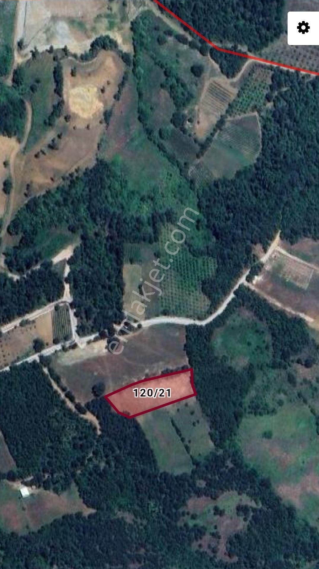 Kestel Orhaniye'de Güzel Konumda Satılık Tarla... - Görsel 5