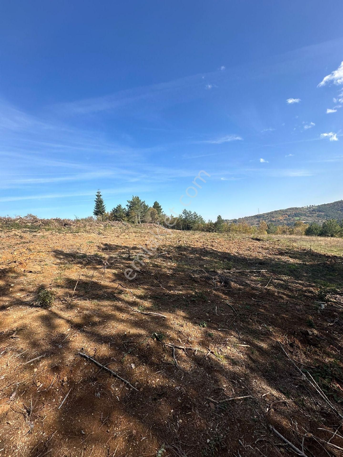 Kestel Orhaniye'de Güzel Konumda Satılık Tarla... - Görsel 3