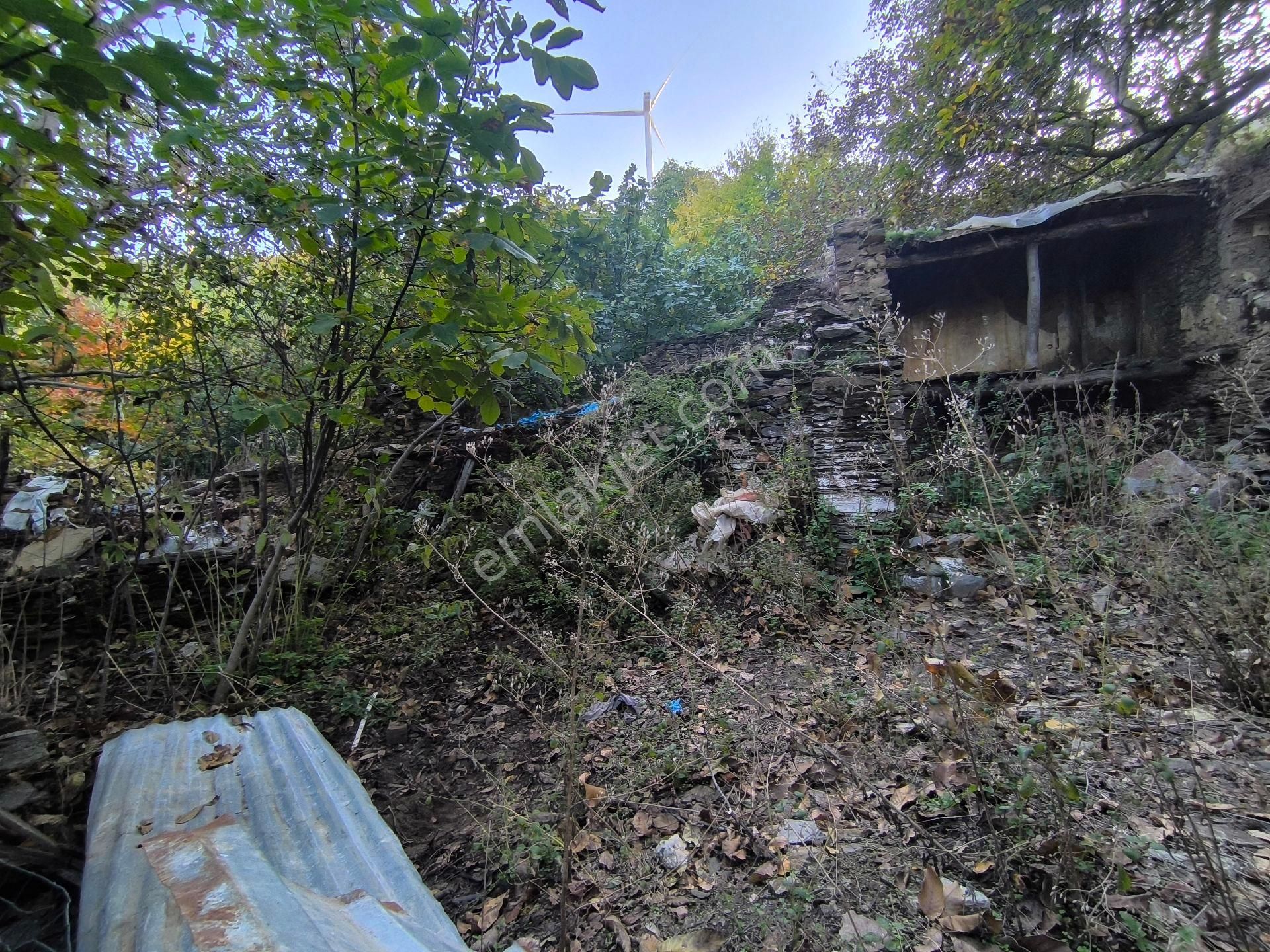 Kaçmaz Emlak'tan Dallik Mahallesinde Müstakil Ev - Görsel 5