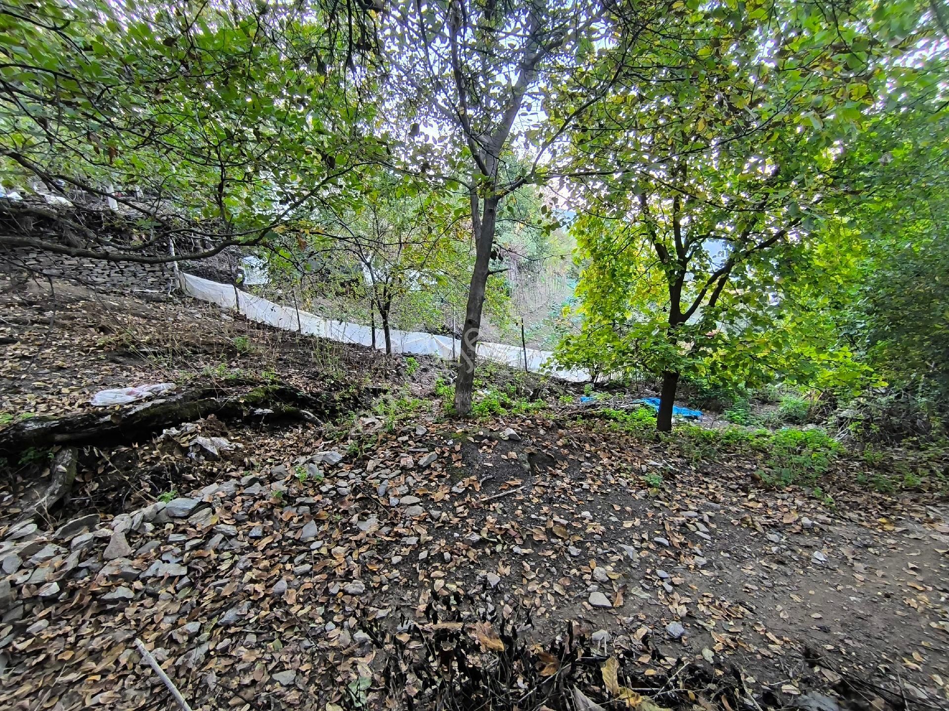 Kaçmaz Emlak'tan Dallik Mahallesinde Müstakil Ev - Görsel 9