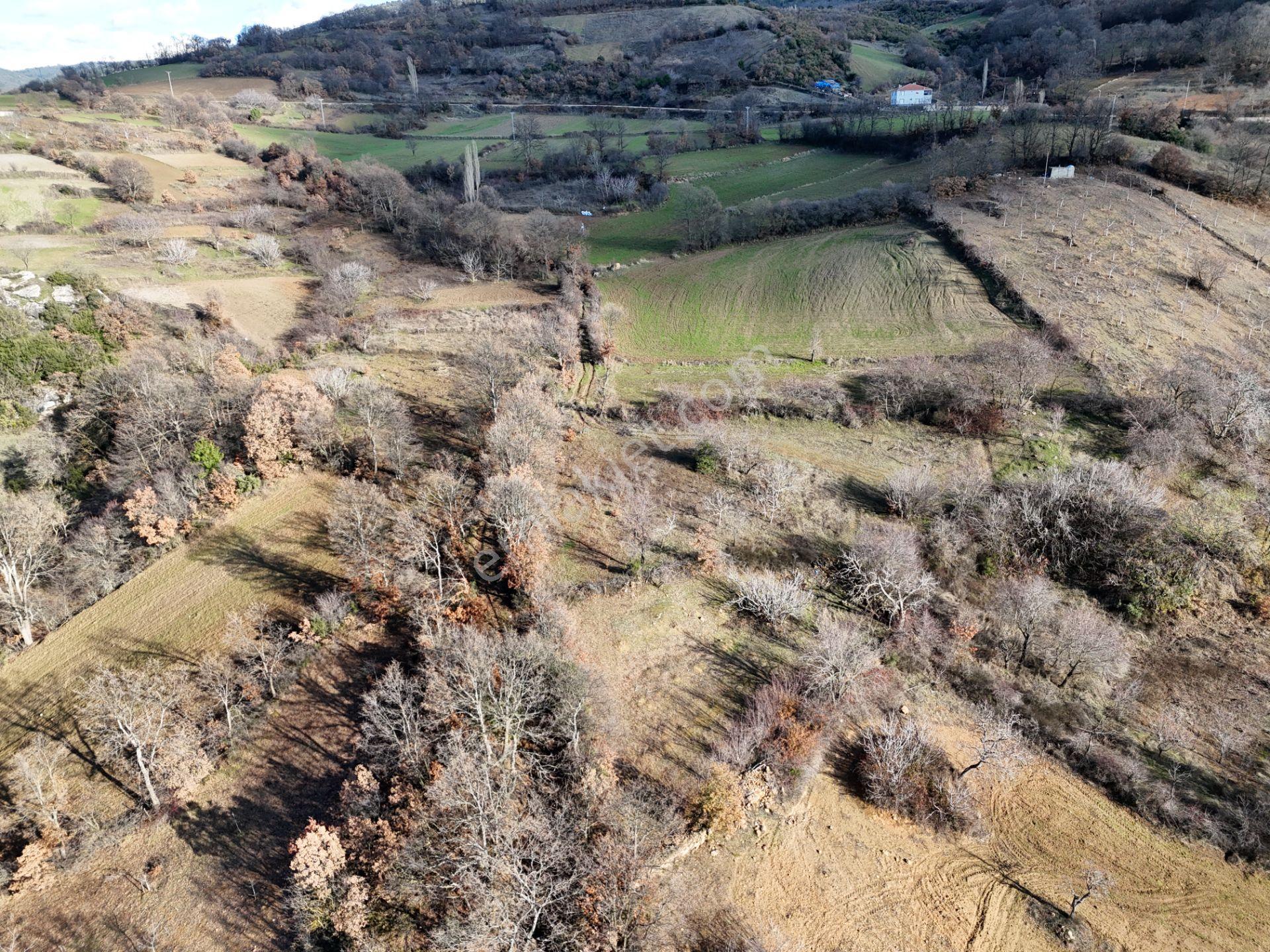 Rookz Balşehir'den Kepsut Sayacık Satılık Arsa 587m2 Köy İçi - Görsel 9