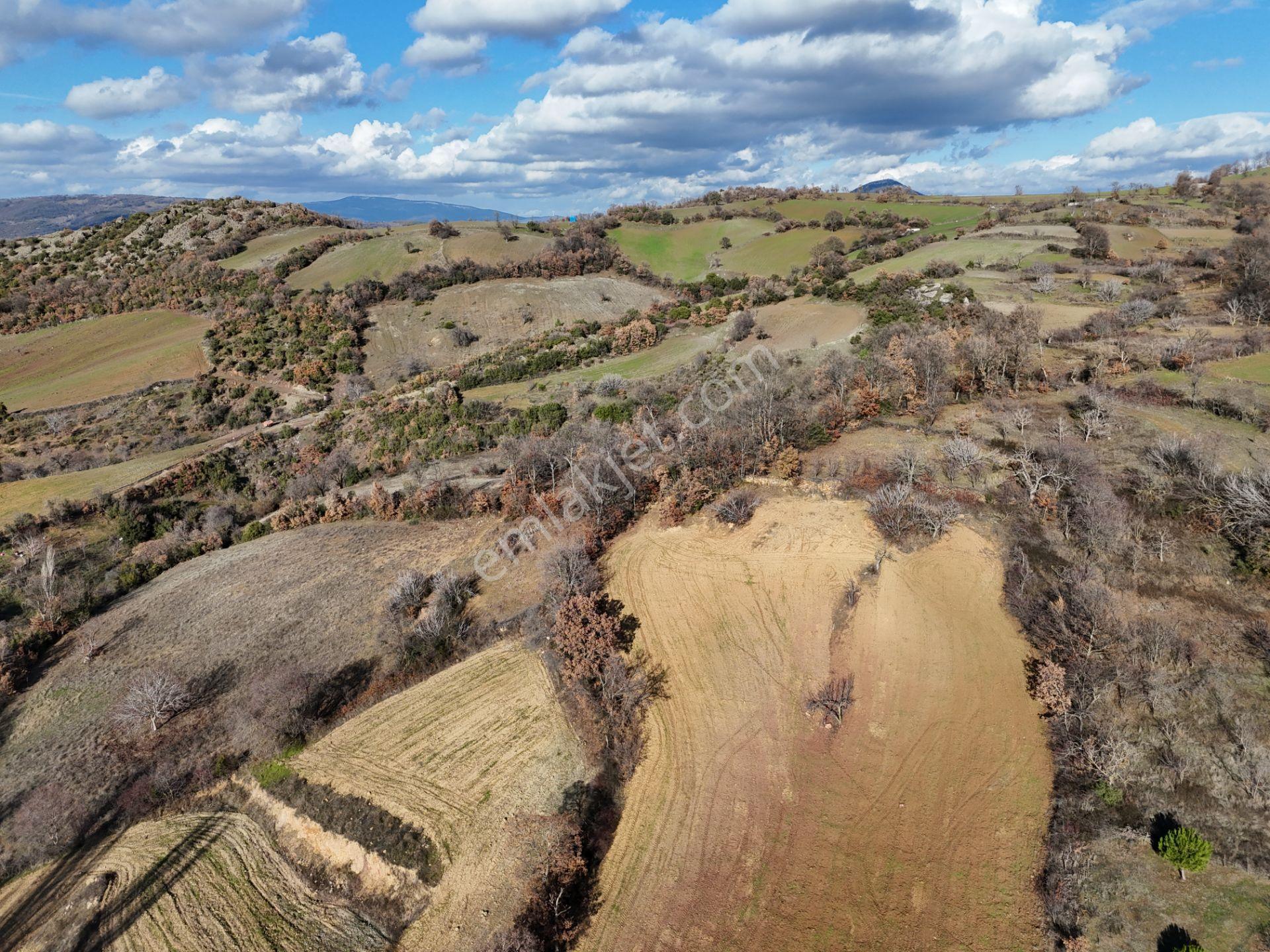 Rookz Balşehir'den Kepsut Sayacık Satılık Arsa 587m2 Köy İçi - Görsel 21