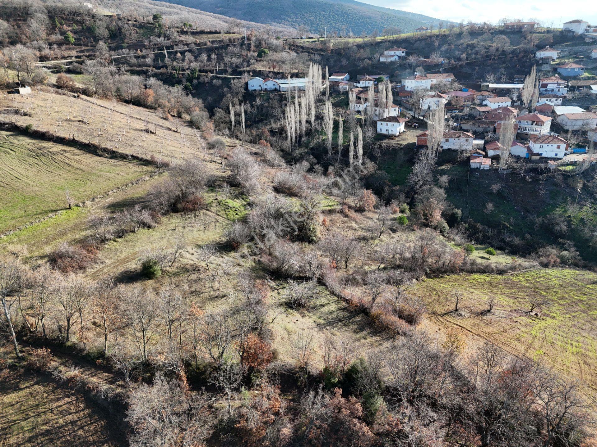 Rookz Balşehir'den Kepsut Sayacık Satılık Arsa 587m2 Köy İçi - Görsel 5