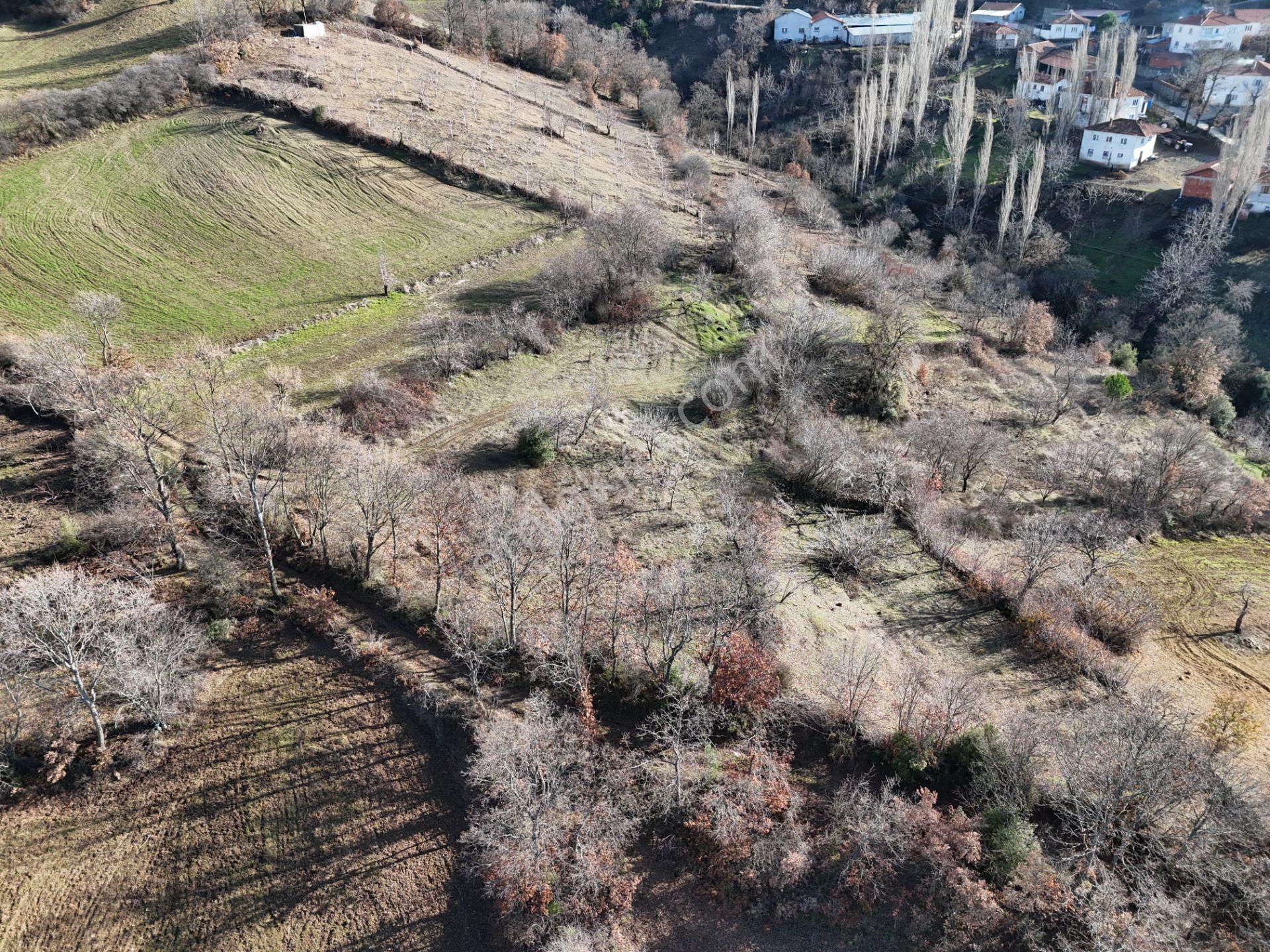 Rookz Balşehir'den Kepsut Sayacık Satılık Arsa 587m2 Köy İçi - Görsel 10