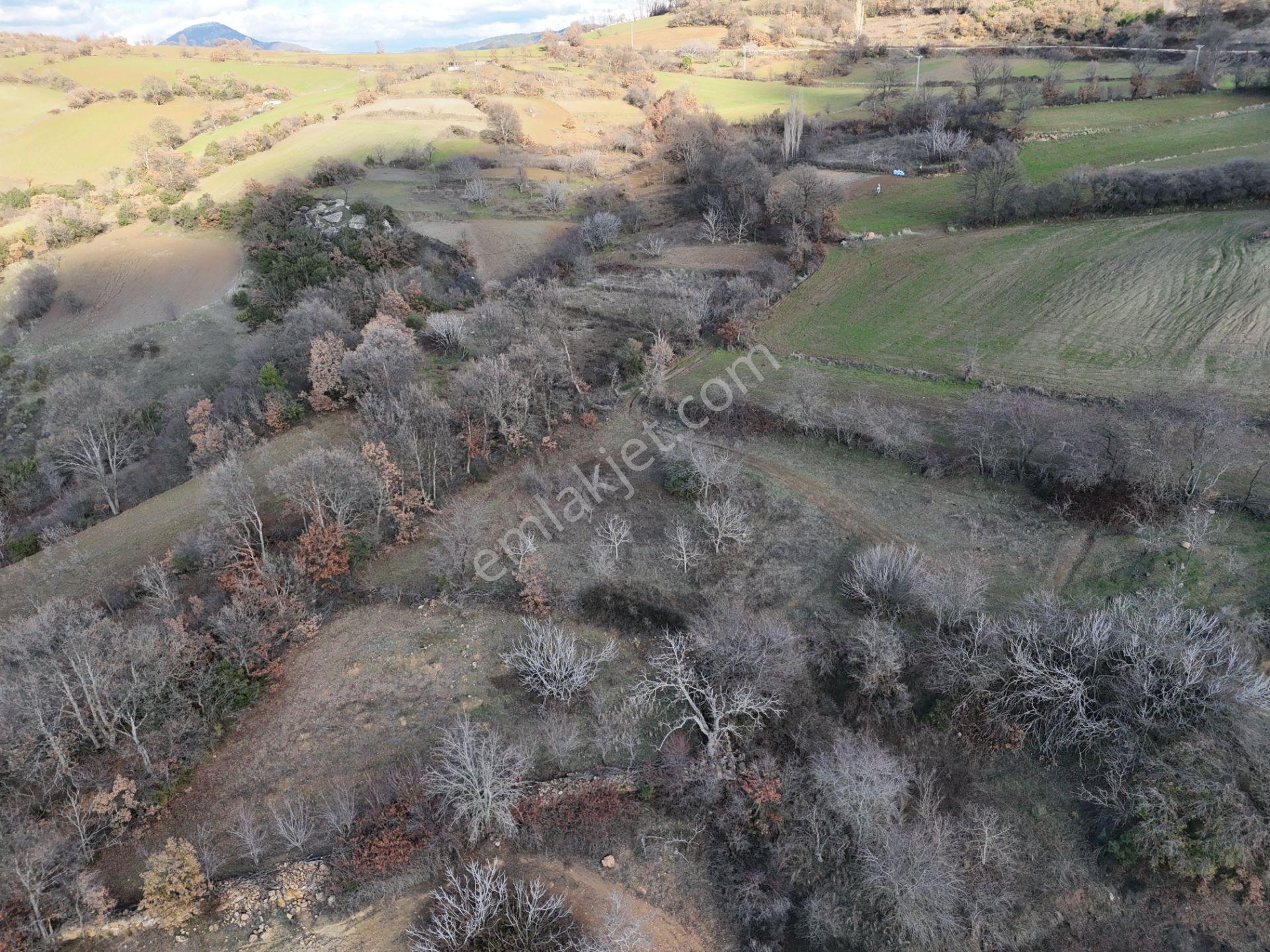 Rookz Balşehir'den Kepsut Sayacık Satılık Arsa 587m2 Köy İçi - Görsel 26