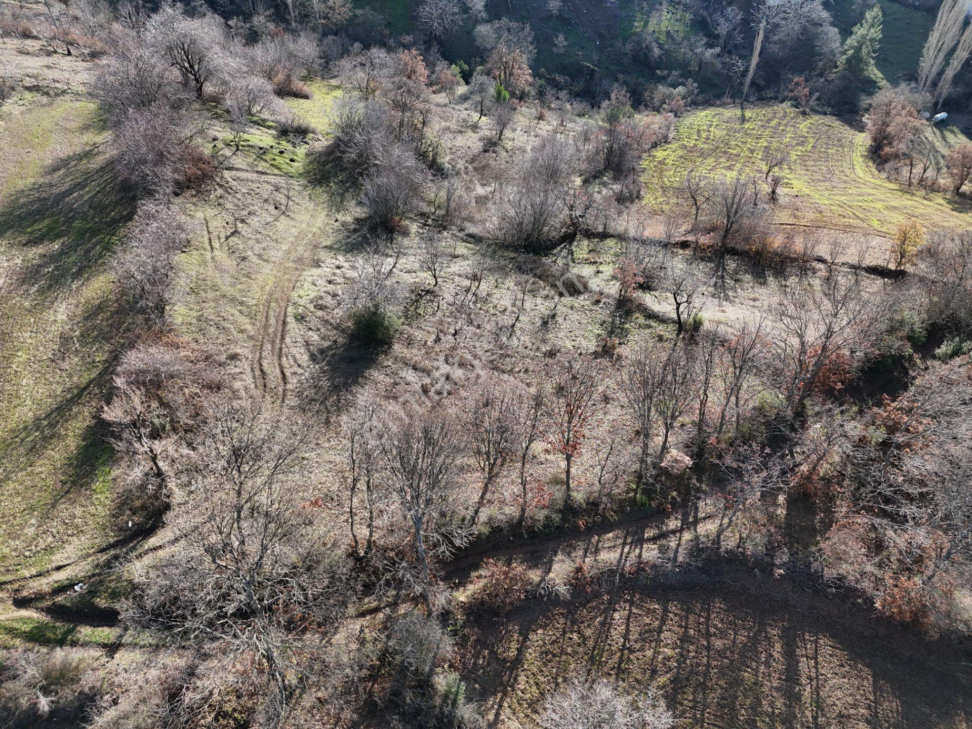 Rookz Balşehir'den Kepsut Sayacık Satılık Arsa 587m2 Köy İçi - Görsel 16