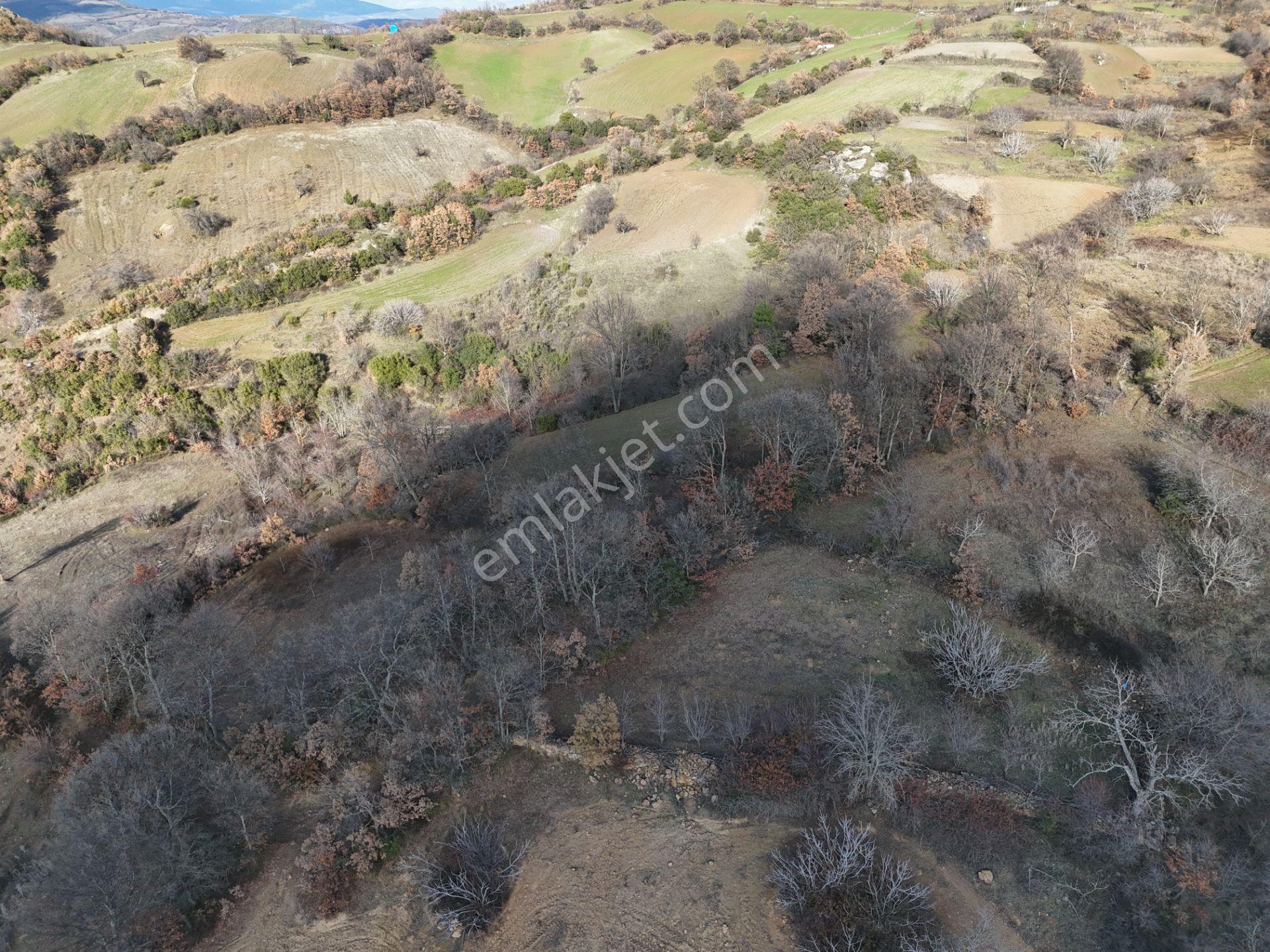 Rookz Balşehir'den Kepsut Sayacık Satılık Arsa 587m2 Köy İçi - Görsel 37