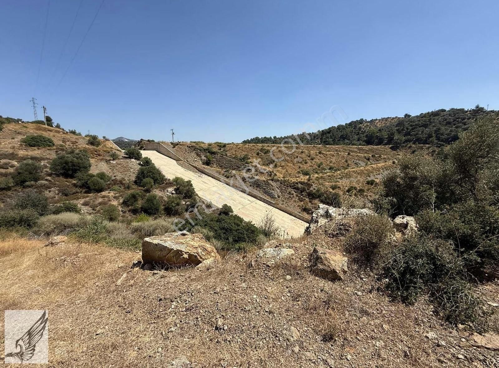 Seferihisar Merkeze 4km Asfalt Cepheli 820 M2 Tek Tapu Zeytinlik - Görsel 4