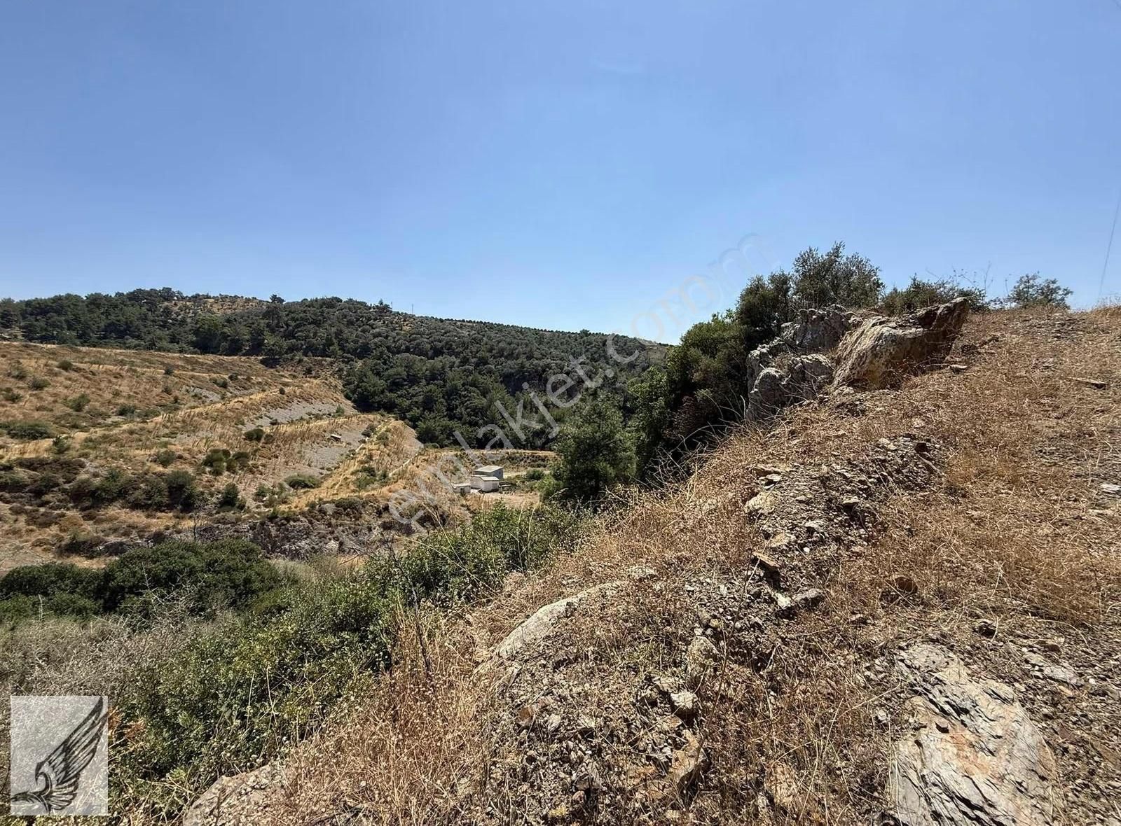 Seferihisar Merkeze 4km Asfalt Cepheli 820 M2 Tek Tapu Zeytinlik - Görsel 2