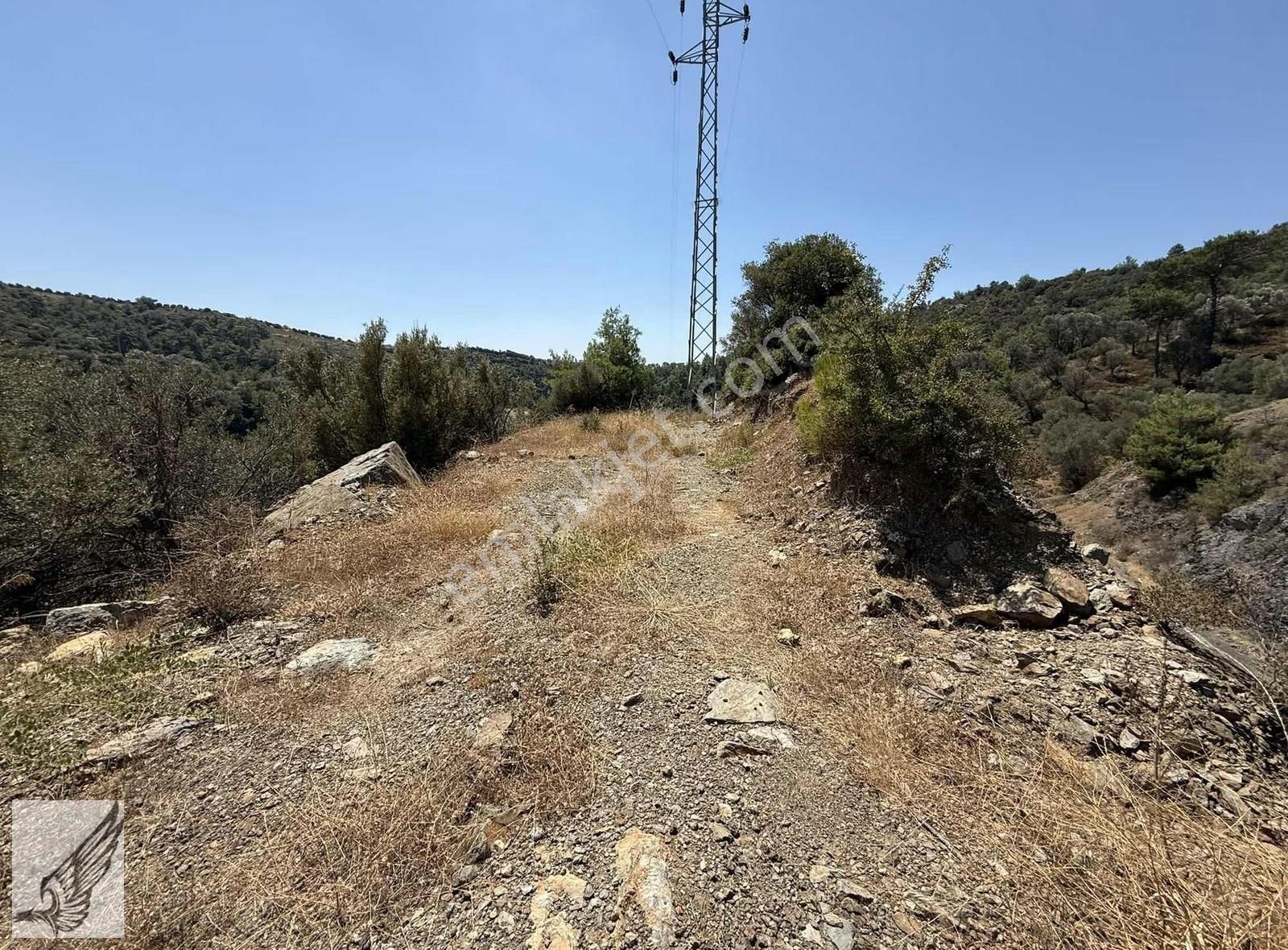Seferihisar Merkeze 4km Asfalt Cepheli 820 M2 Tek Tapu Zeytinlik - Görsel 3