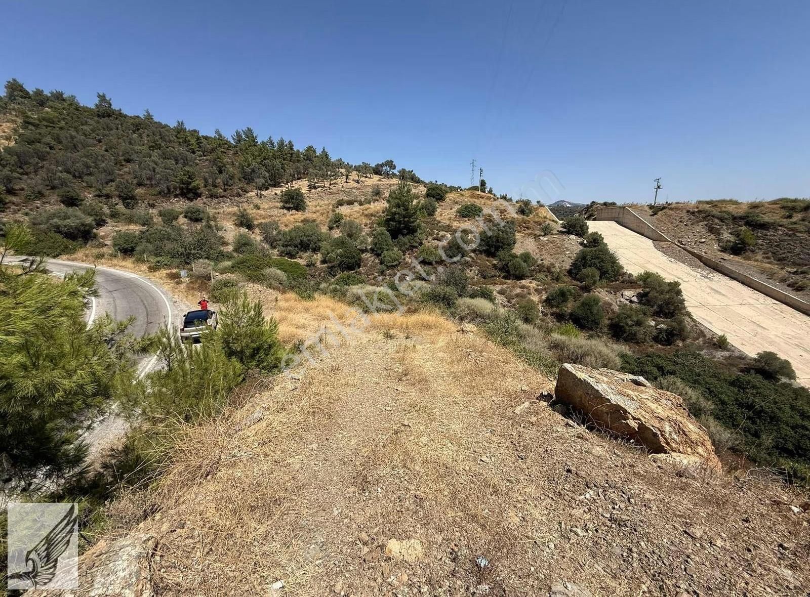 Seferihisar Merkeze 4km Asfalt Cepheli 820 M2 Tek Tapu Zeytinlik