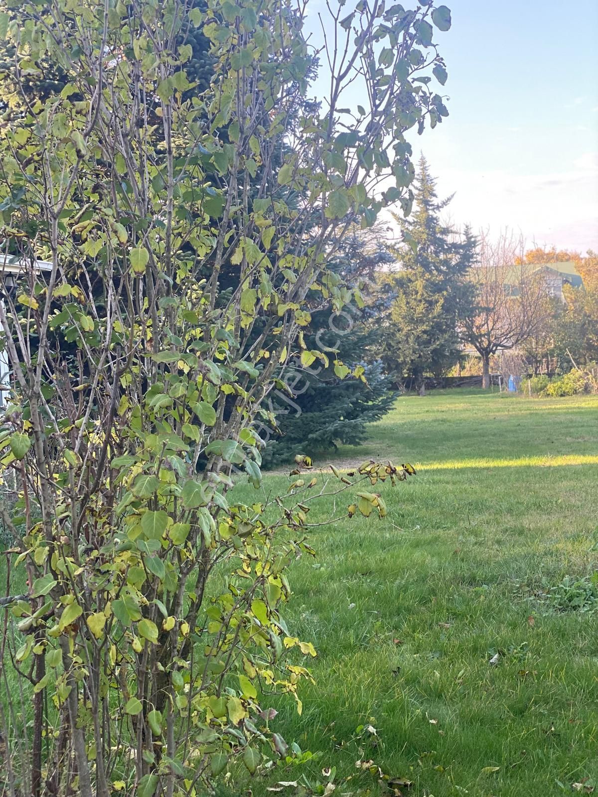 Tekirdağ Saray Sıla Evlerinde İkinci Arsası İle Birlikte 3 Katlı Satılık Villa - Görsel 5