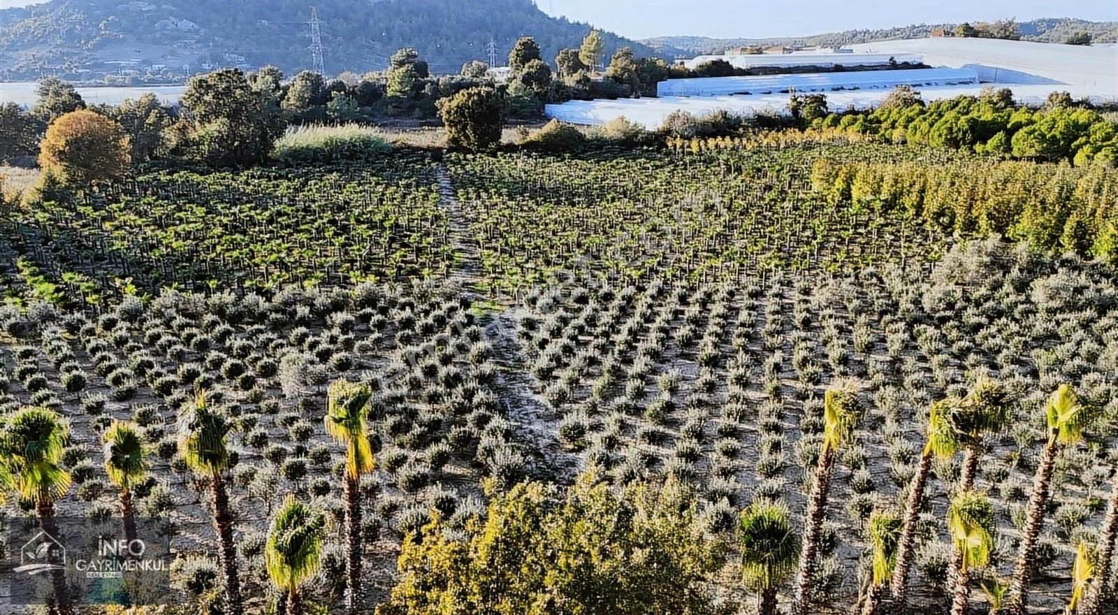 İnfo Gayrimenkulden Satılık Hisseler Boztepe Ve Kadılar - Görsel 10