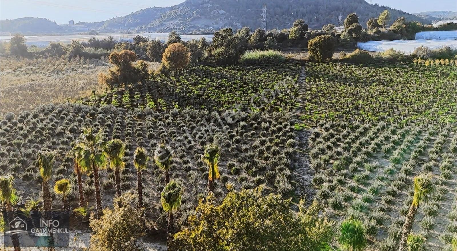 İnfo Gayrimenkulden Satılık Hisseler Boztepe Ve Kadılar - Görsel 13
