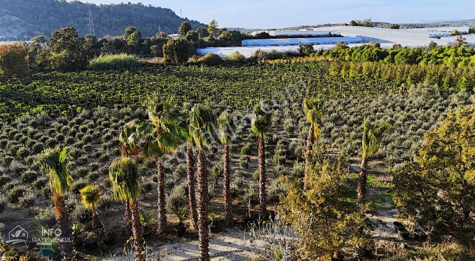 İnfo Gayrimenkulden Satılık Hisseler Boztepe Ve Kadılar - Görsel 15