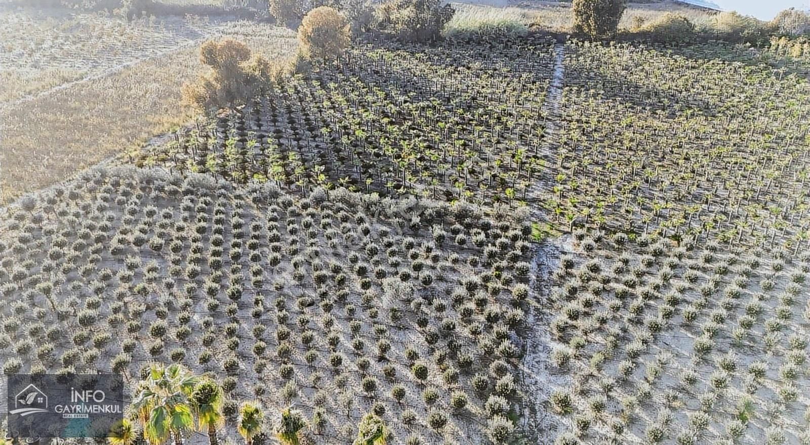 İnfo Gayrimenkulden Satılık Hisseler Boztepe Ve Kadılar - Görsel 25