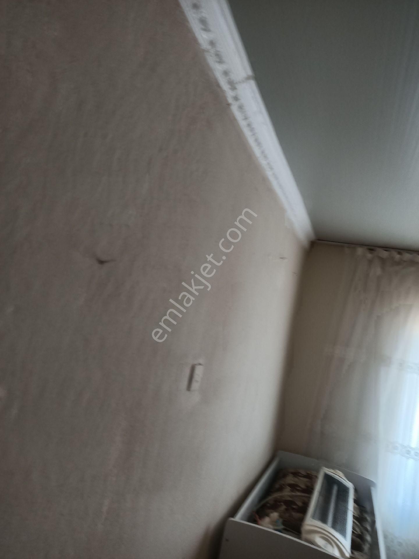 Ilıca Mahallesi Satılık Bahçeli Müstakil Ev Ve Müştemilatı - Görsel 25