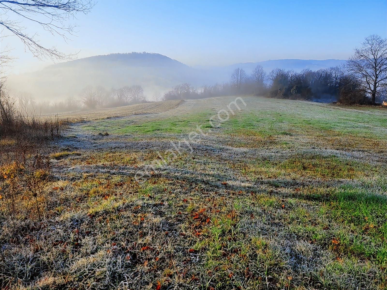 Asfalt Yola Cephe Çevreye Hakim Harika Arazi Yaz Kış Başına Gide - Görsel 25
