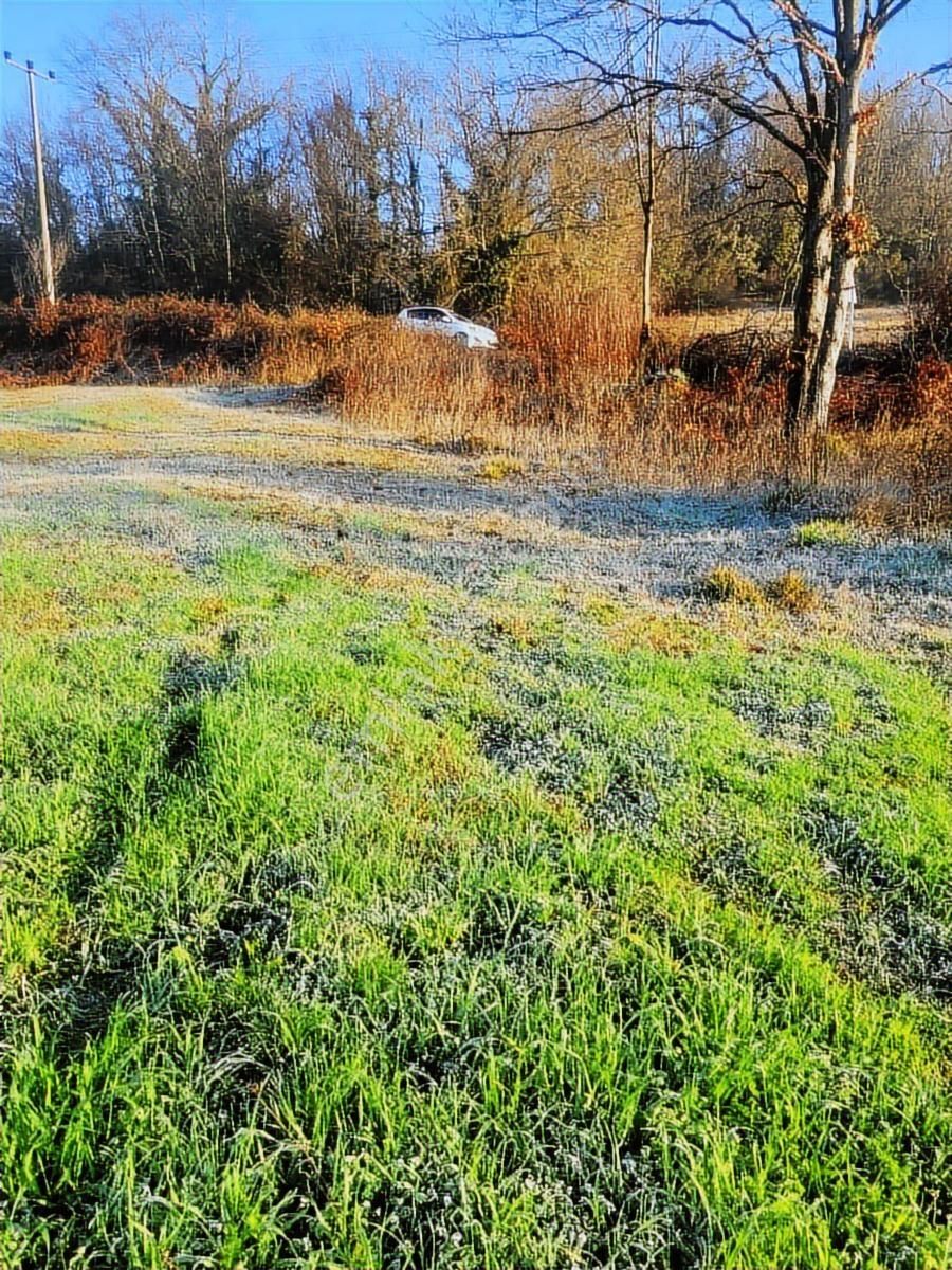 Asfalt Yola Cephe Çevreye Hakim Harika Arazi Yaz Kış Başına Gide - Görsel 24