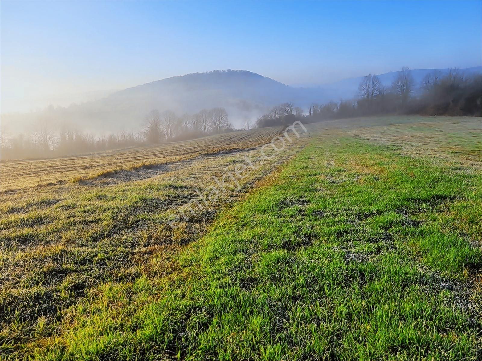 Asfalt Yola Cephe Çevreye Hakim Harika Arazi Yaz Kış Başına Gide - Görsel 22