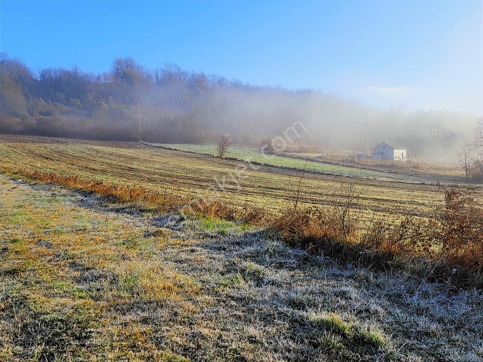 Asfalt Yola Cephe Çevreye Hakim Harika Arazi Yaz Kış Başına Gide - Görsel 14