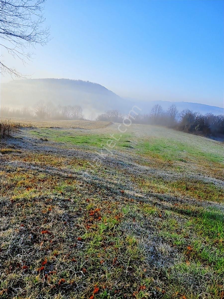 Asfalt Yola Cephe Çevreye Hakim Harika Arazi Yaz Kış Başına Gide - Görsel 34