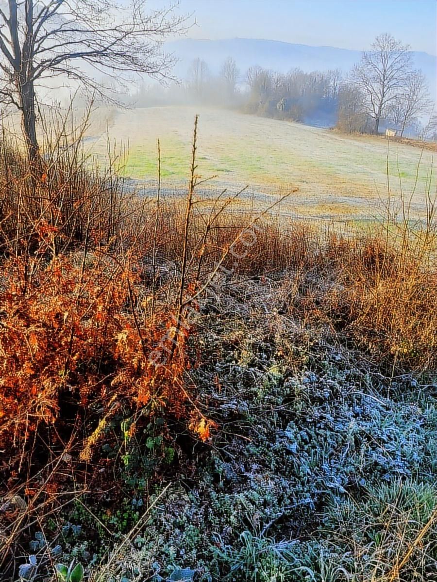 Asfalt Yola Cephe Çevreye Hakim Harika Arazi Yaz Kış Başına Gide - Görsel 16