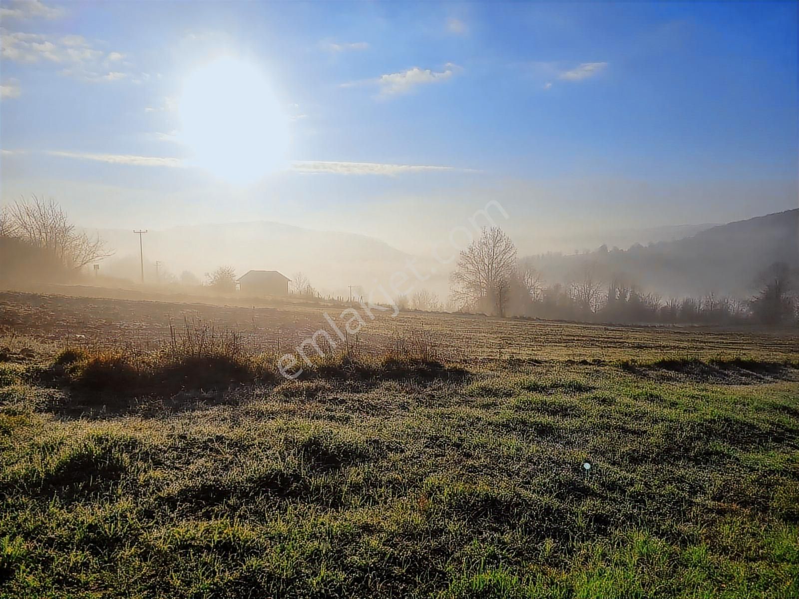 Asfalt Yola Cephe Çevreye Hakim Harika Arazi Yaz Kış Başına Gide - Görsel 32