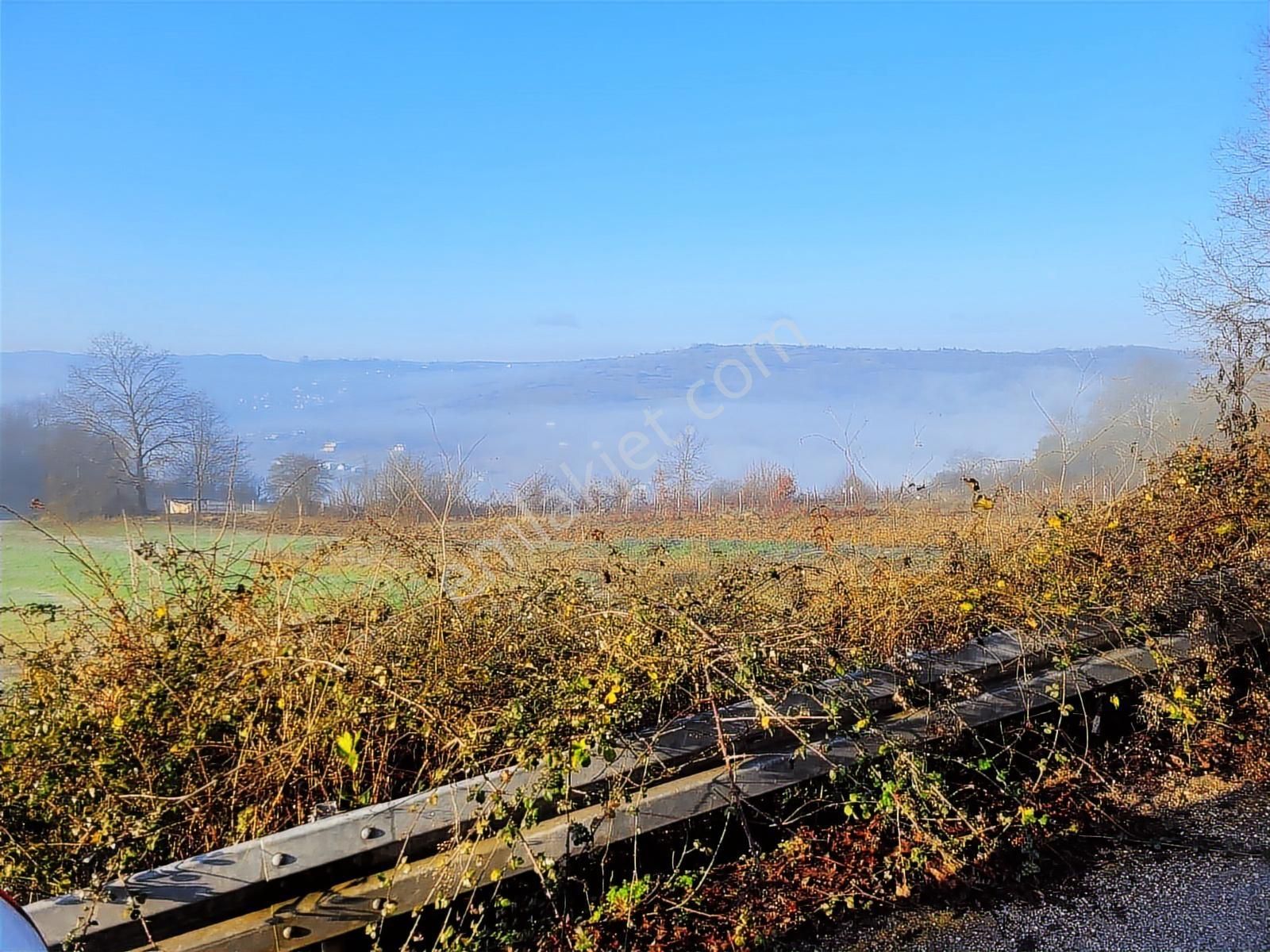 Asfalt Yola Cephe Çevreye Hakim Harika Arazi Yaz Kış Başına Gide - Görsel 4