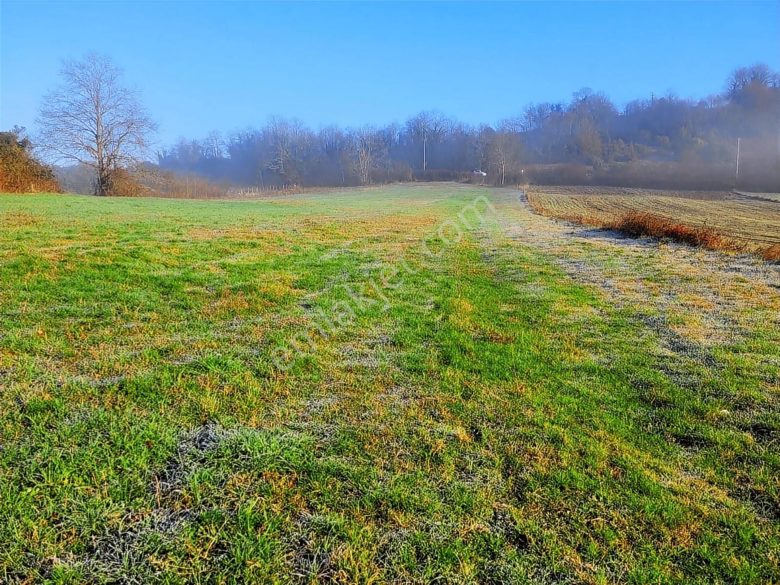 Asfalt Yola Cephe Çevreye Hakim Harika Arazi Yaz Kış Başına Gide - Görsel 7