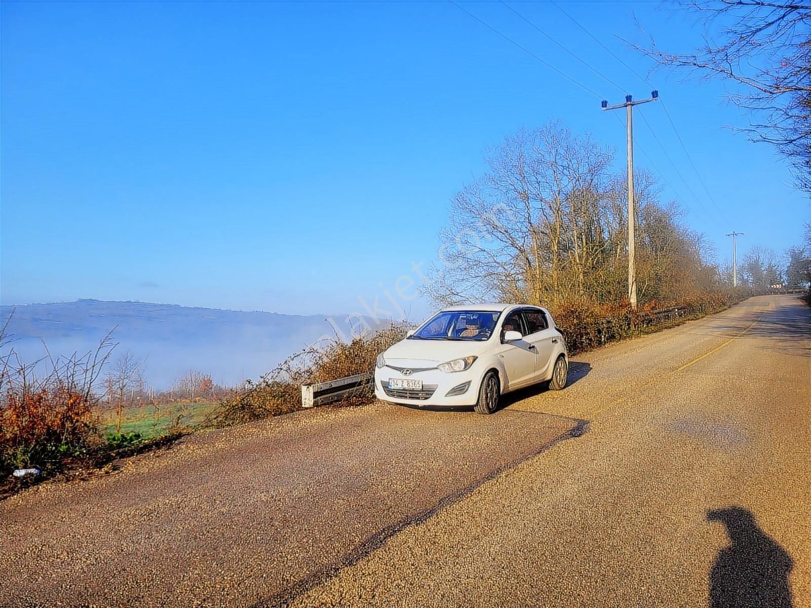 Asfalt Yola Cephe Çevreye Hakim Harika Arazi Yaz Kış Başına Gide - Görsel 13