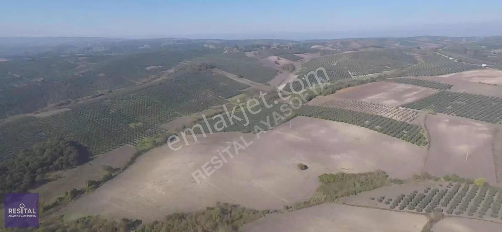 Mudanya Hançerli'de 100 Bin M2 Satılık Tarla 265 Mt Yola Cephe - Görsel 4