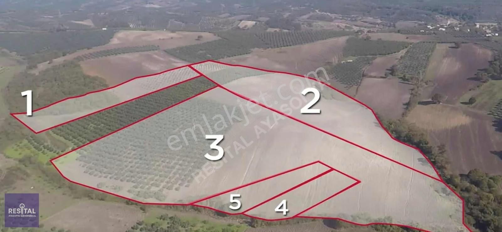 Mudanya Hançerli'de 100 Bin M2 Satılık Tarla 265 Mt Yola Cephe - Görsel 2