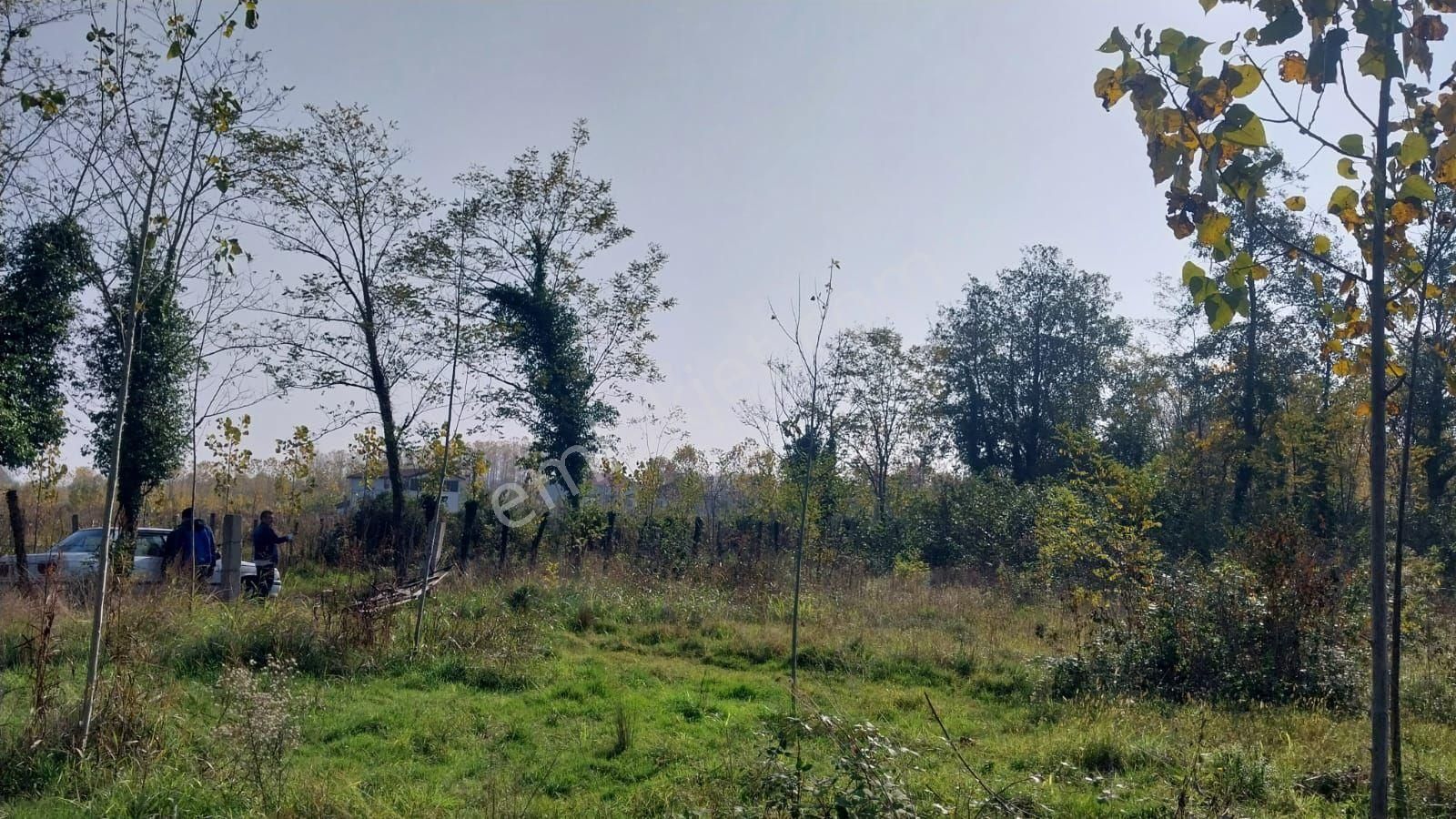 Samsun Terme Sıvaslarda Yolu Olan Uykun Fıyada - Görsel 7