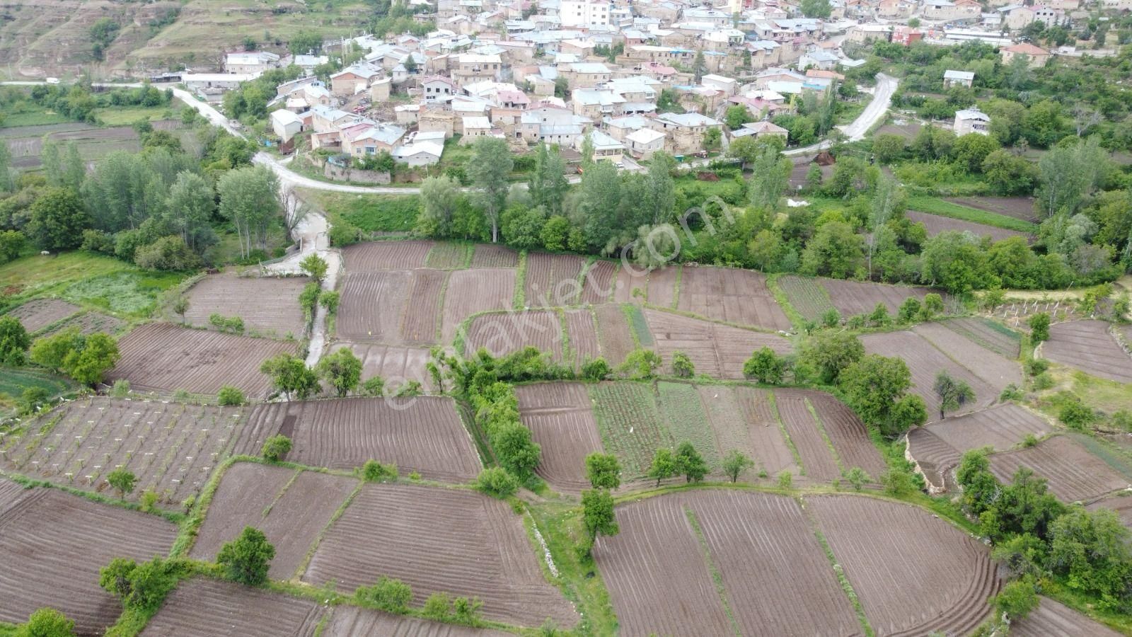 Satılık Müstakil Tapulu Bahçe – Meram Yeşildere'de Doğayla İç İçe Yaşam! - Görsel 5