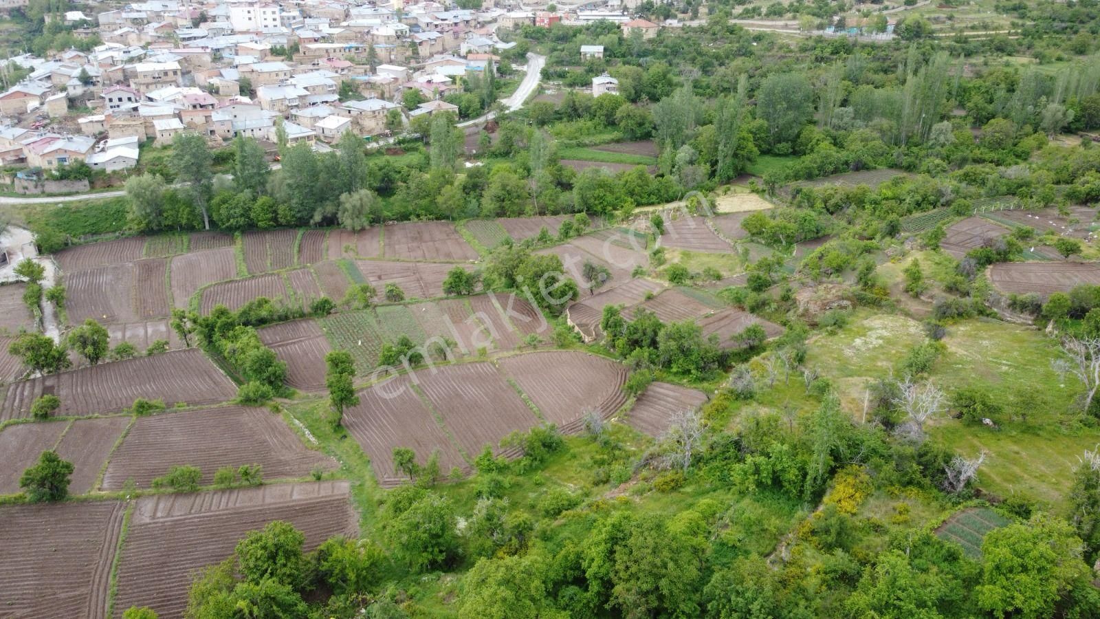 Satılık Müstakil Tapulu Bahçe – Meram Yeşildere'de Doğayla İç İçe Yaşam! - Görsel 2