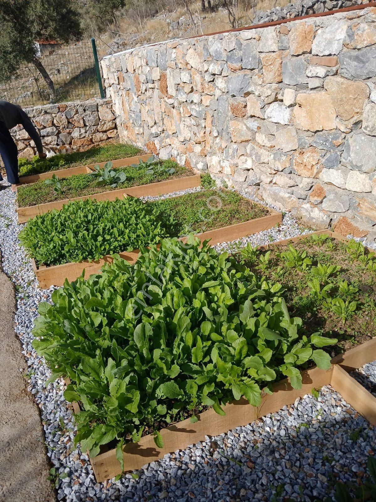 Milas Havalimanı Civarındamasrafsız Bakımlı Villa - Görsel 20