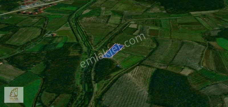 Truva/nazım Demirci'den Çarşamba Demiraslan Satılık 5775m2 Tarla - Görsel 23
