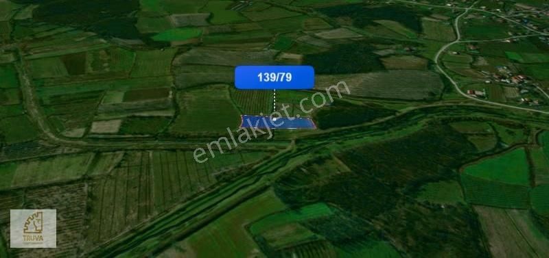 Truva/nazım Demirci'den Çarşamba Demiraslan Satılık 5775m2 Tarla - Görsel 13