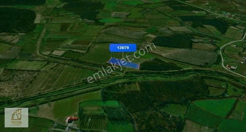 Truva/nazım Demirci'den Çarşamba Demiraslan Satılık 5775m2 Tarla - Görsel 6