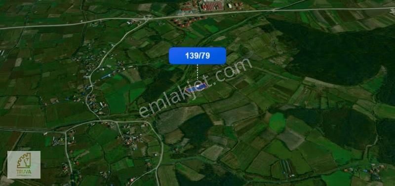 Truva/nazım Demirci'den Çarşamba Demiraslan Satılık 5775m2 Tarla - Görsel 15