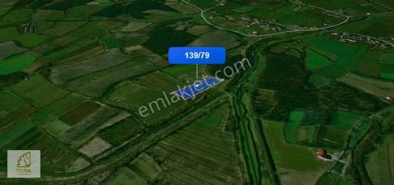 Truva/nazım Demirci'den Çarşamba Demiraslan Satılık 5775m2 Tarla - Görsel 7