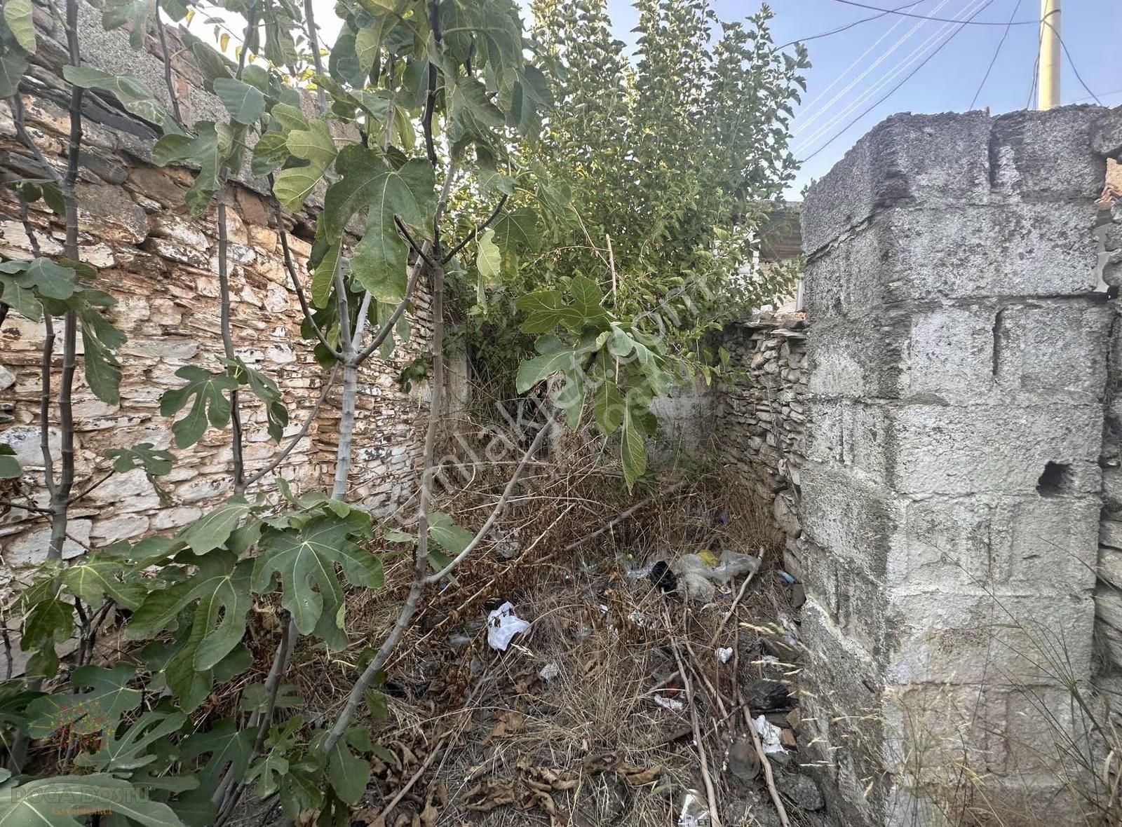 Doğa Dostu'ndan Yakapınarda Kalabalık Ailelere Büyük Müstakil - Görsel 4