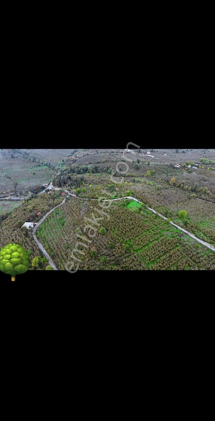 Satılık Arsa - Görsel 13