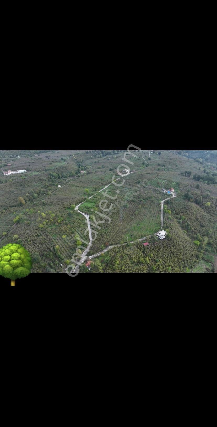 Satılık Arsa - Görsel 10