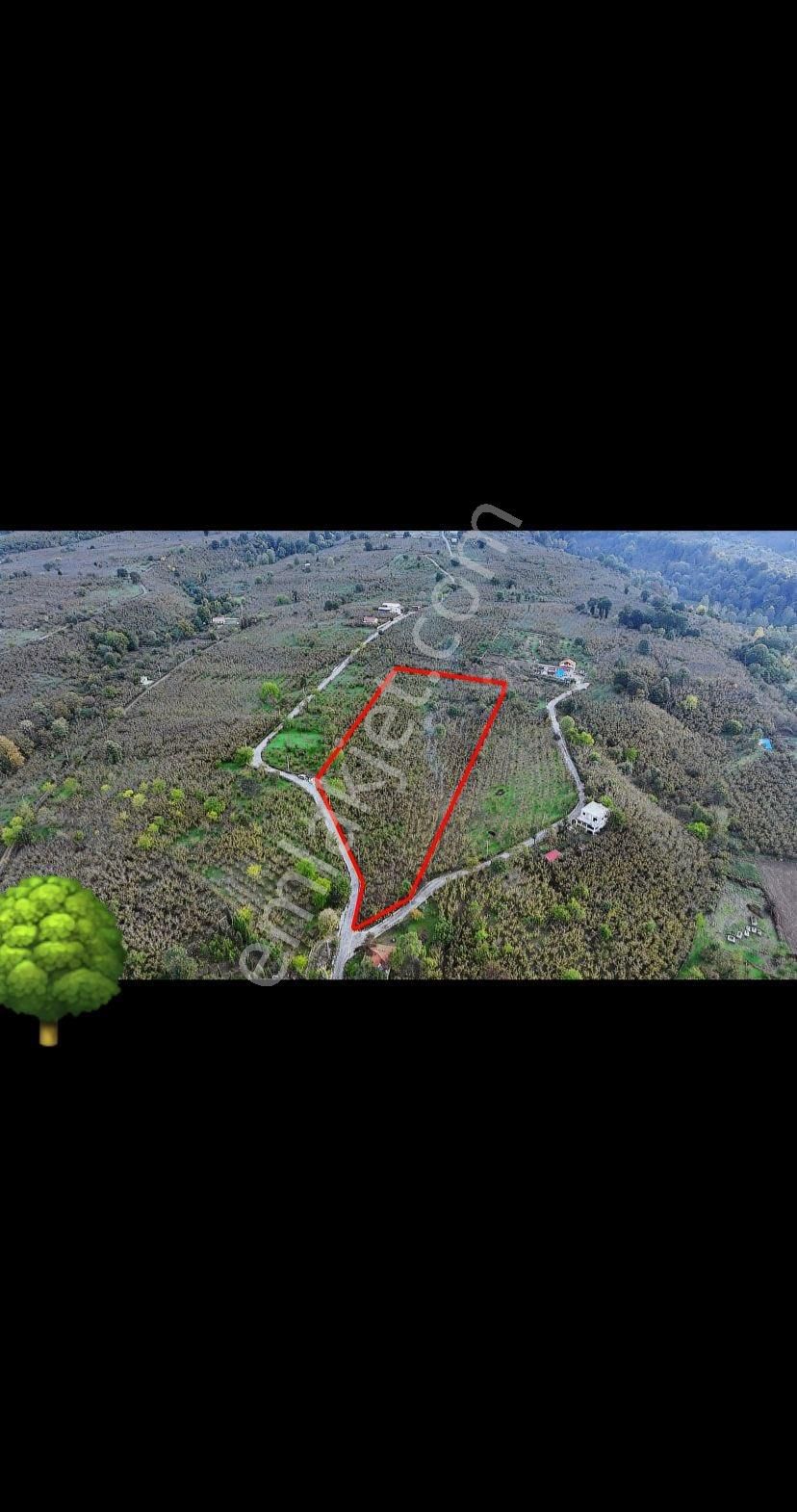 Satılık Arsa - Görsel 6