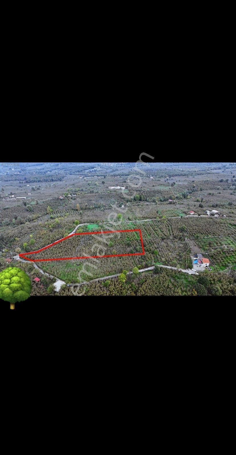 Satılık Arsa - Görsel 8