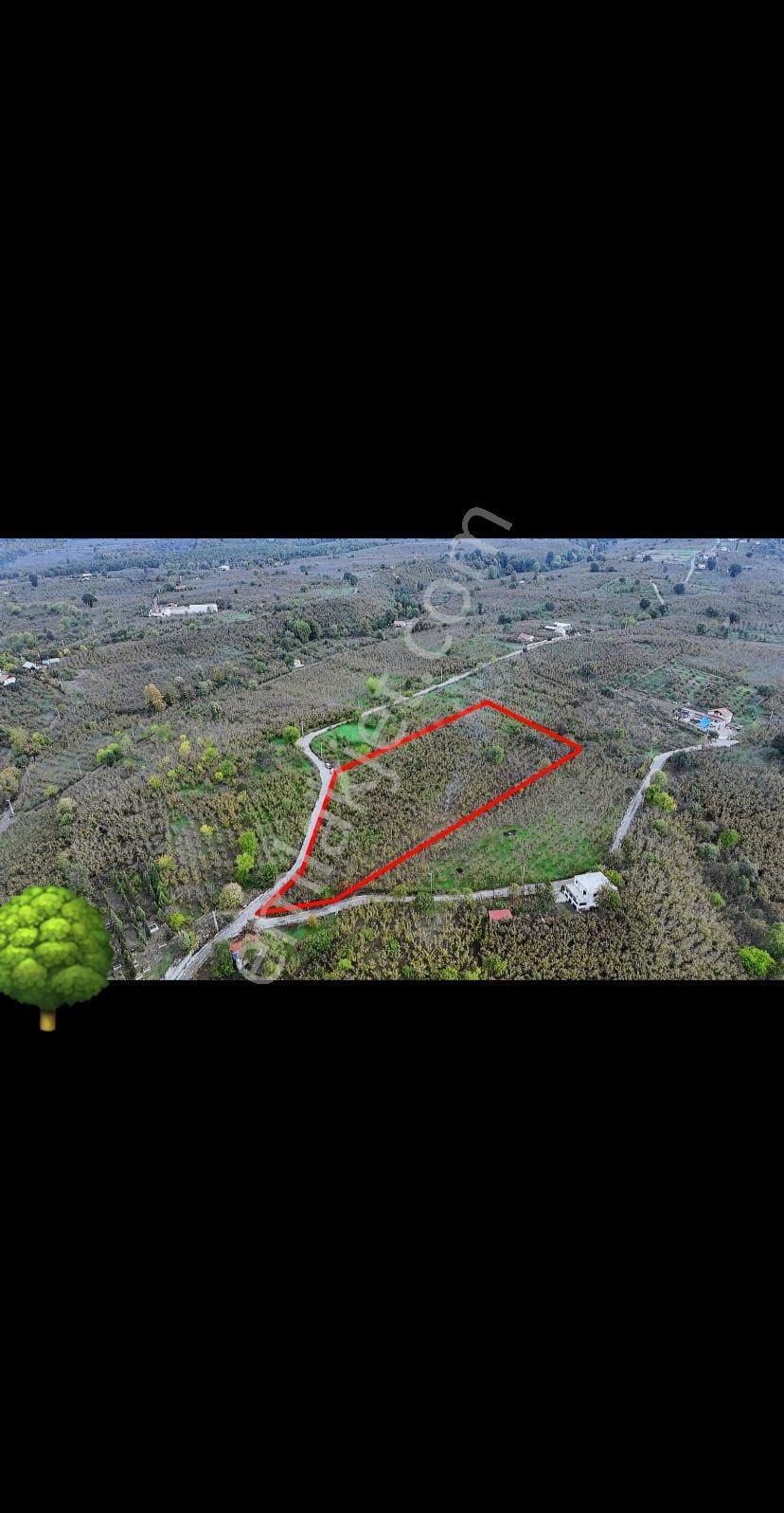 Satılık Arsa - Görsel 7