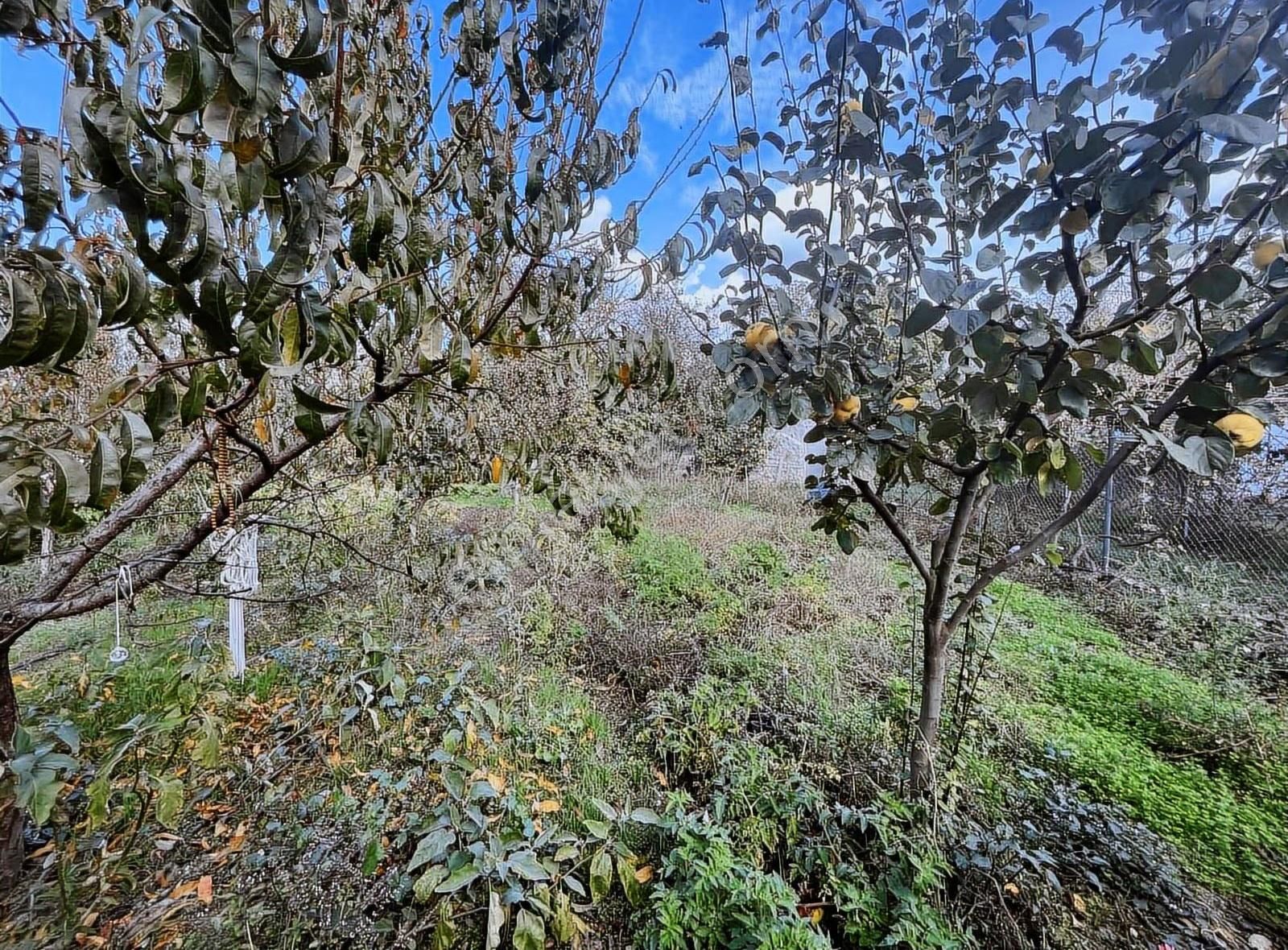 Düğerek Ortaköy Arası Villalara Çok Yakın Harika Parsel - Görsel 13